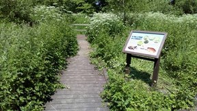 Whitebridge Board Walk and information sign